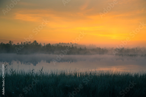 A beautiful  colorful landscape of a misty swamp during the sunrise. Atmospheric  tranquil wetland scenery with sun in Latvia  Northern Europe.