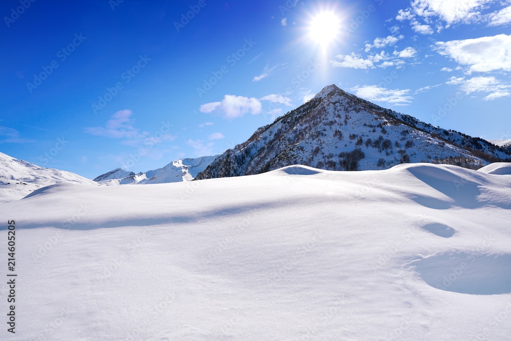 beautiful winter landscape