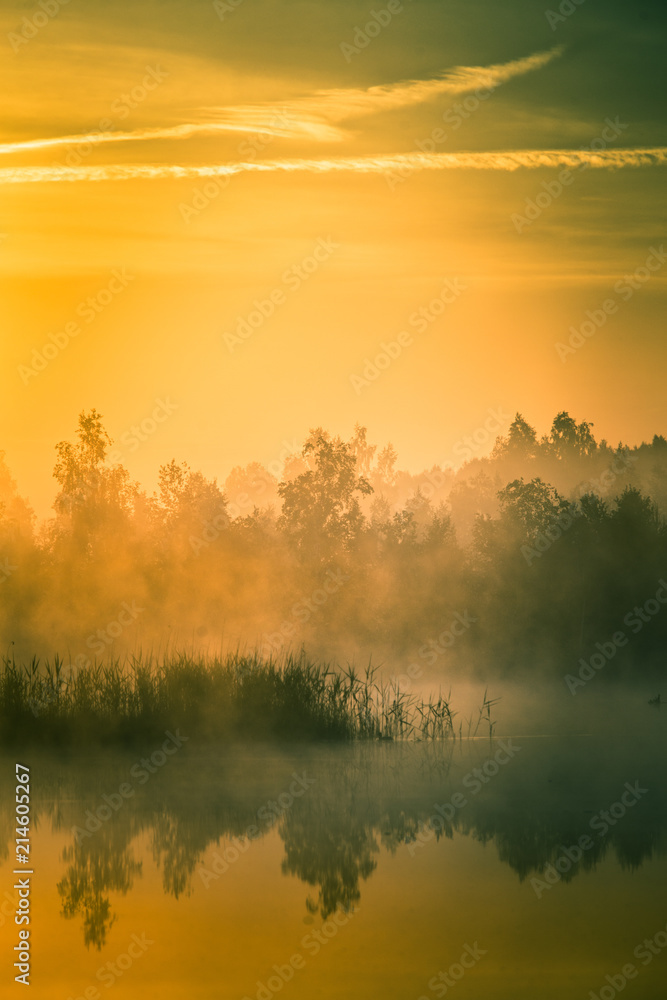 Obraz premium A beautiful, colorful landscape of a misty swamp during the sunrise. Atmospheric, tranquil wetland scenery with sun in Latvia, Northern Europe.