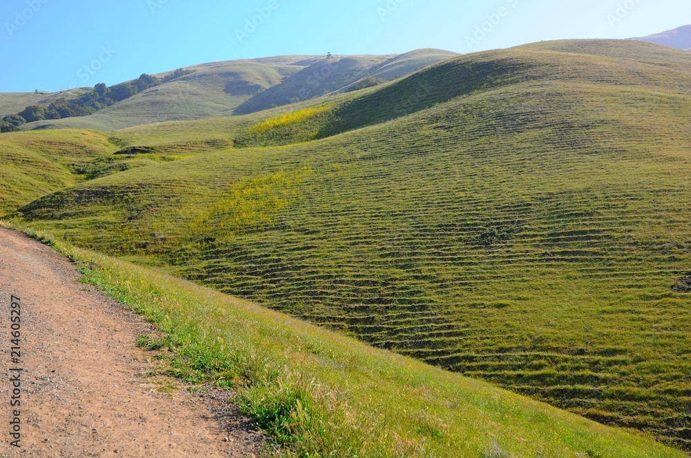Obraz premium Landscape of Misson Peak in Spring in California, United States