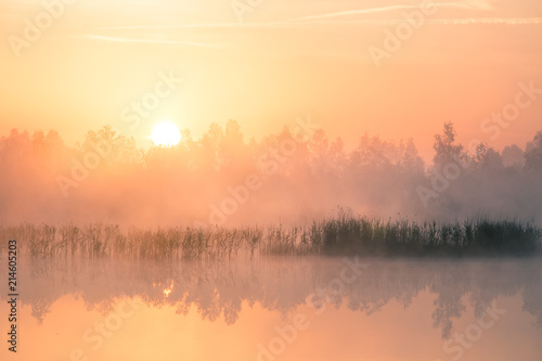 A beautiful  colorful landscape of a misty swamp during the sunrise. Atmospheric  tranquil wetland scenery with sun in Latvia  Northern Europe.