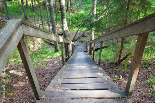 Wooden stairs in forest in Finland at summer day © Juhku