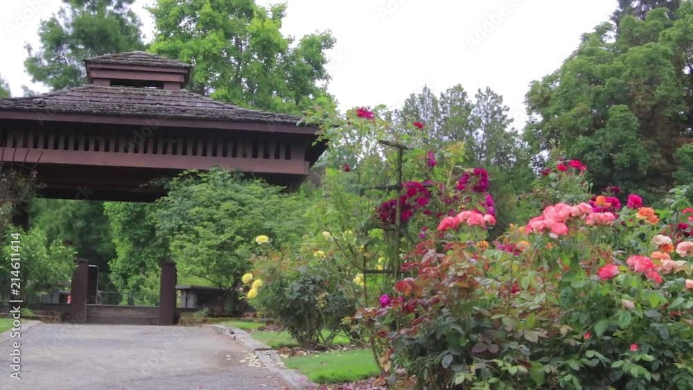 rose garden and shade structure at park rose garden and shade structure at park