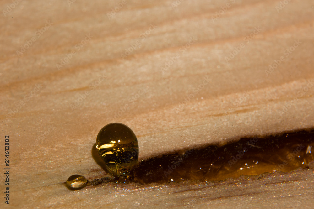 Board with a drop of vegetal resin is macro Board with a drop of vegetal resin is macro