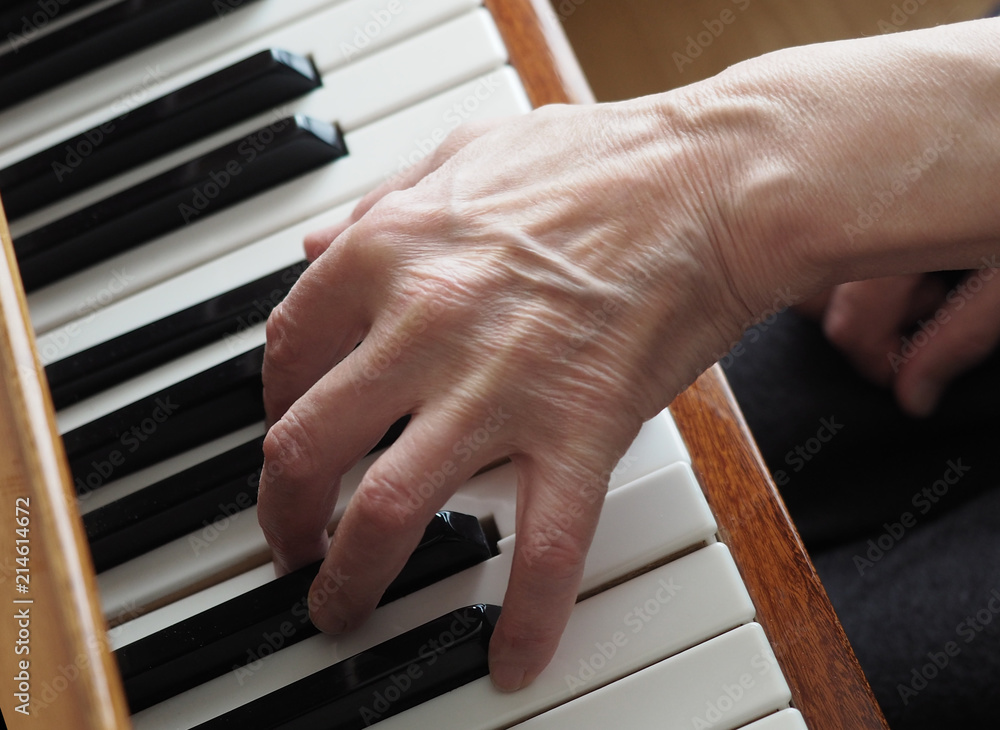 Fototapeta premium Elderly female hands playing the piano, close up