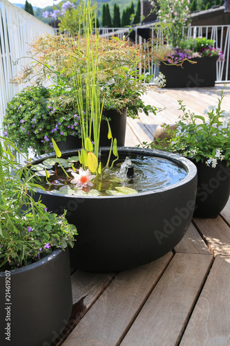 Moderne Terrassengestaltung mit kleinem Seerosenteich