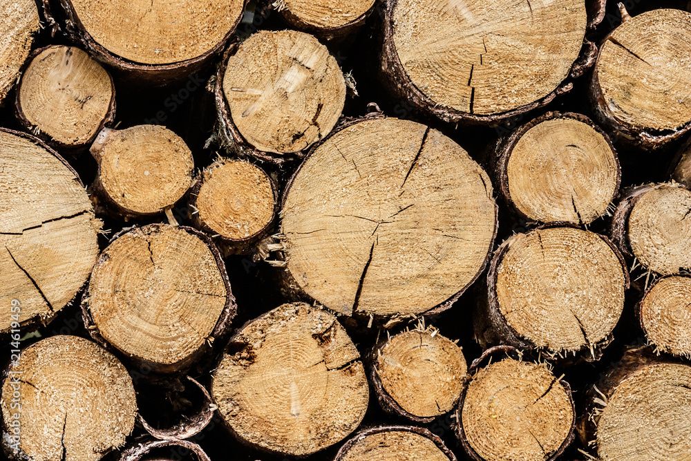 Stacked pile of timber, log, lumber, firewood Stacked pile of timber, log, lumber, firewood