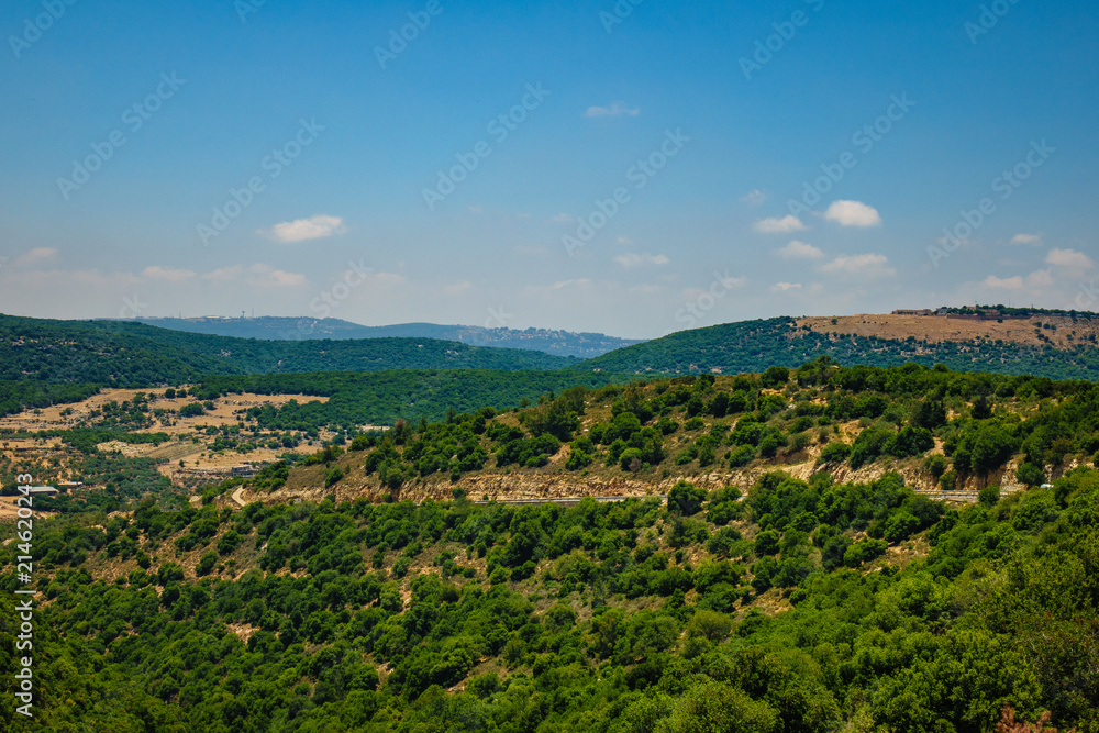 Fototapeta premium View of Galilee Hills at summertime, Galilee, Israel