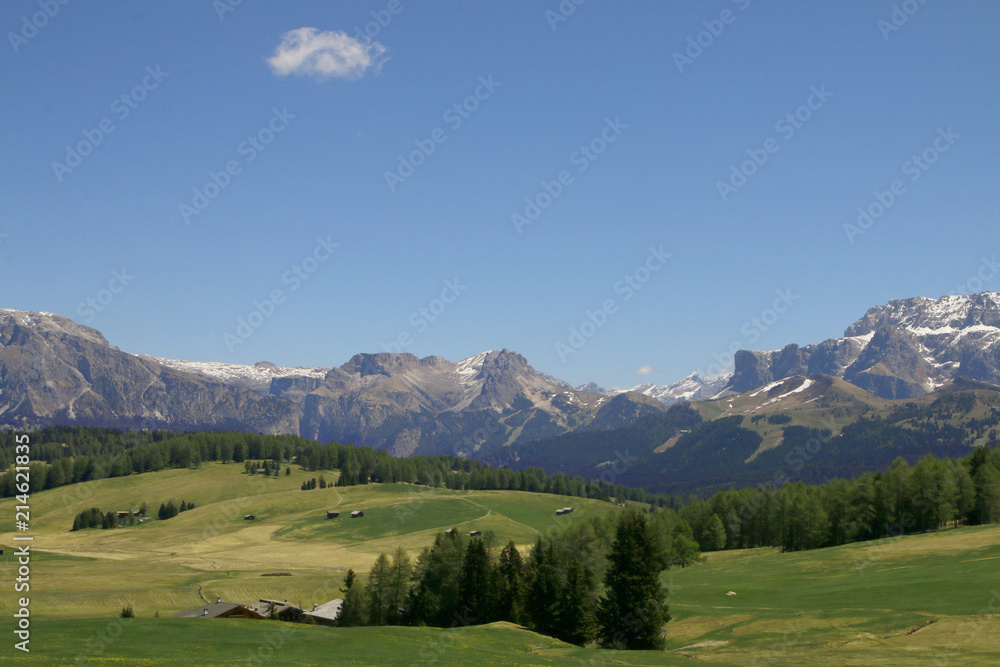 Seiseralm im Frühling mit Dolomiten, Südtirol, Italien, Europa