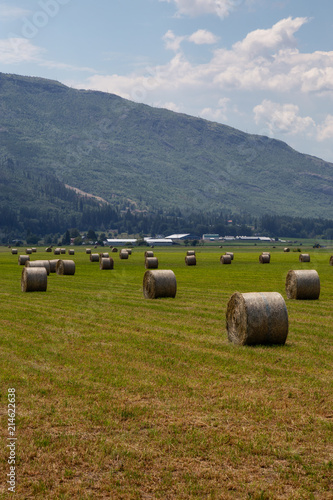 Haystack in a farm field during a vibrant sunny summer day. Taken in Salmon Arm, British Columbia, Canada.