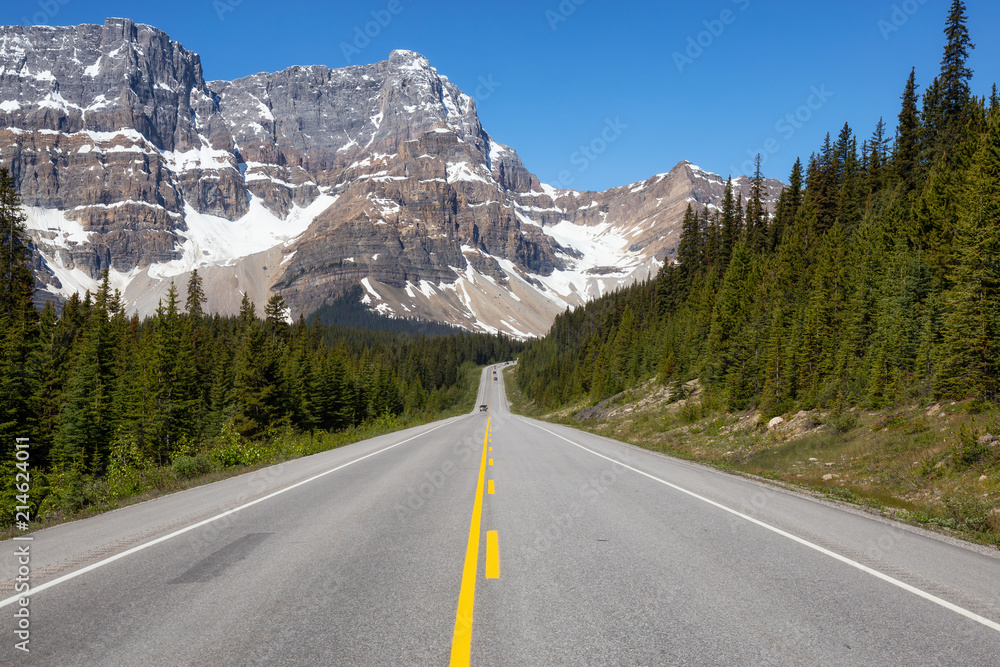 Road in Icefields Parkway during a vibrant sunny summer day. Taken in Banff National Park, Alberta, Canada.