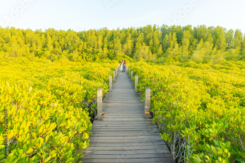 Tung Prong Thong or Golden mangrove field landmarks tourist attraction and beautiful place has all the allure and magic of a nature truly exciting at Klaeng district, Rayong , Thailand