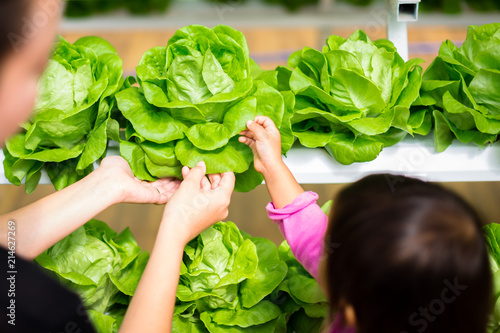 Mother and daughter shopping for vegetables together photo