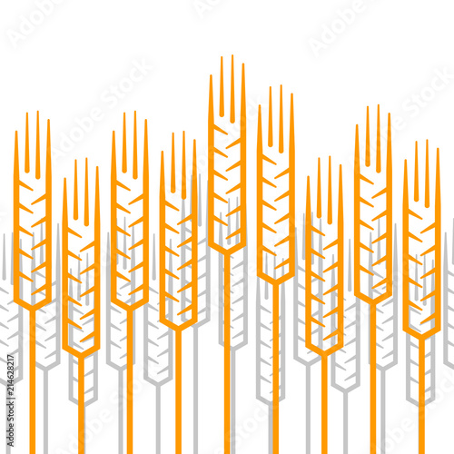 Linear ears of wheat pattern on a white background.