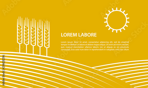 Farmer field and ears of wheat. Linear illustration for banner on a yellow background.