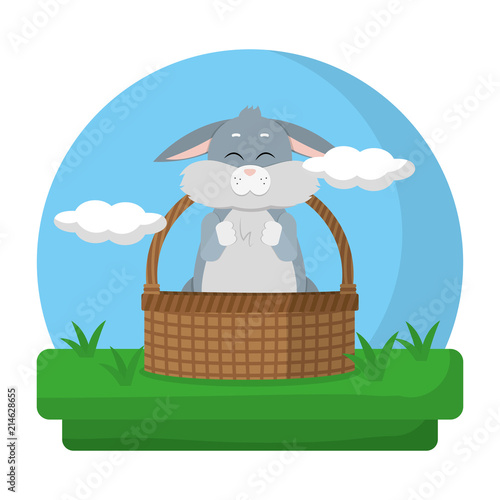 cute rabbit animal inside hamper in the landscape