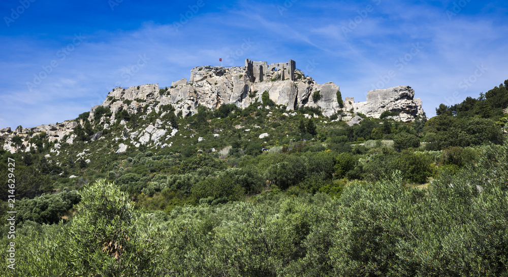 Les Baux-de-Provence historic castle with olive trees in the foreground. Bouches du Rhone, Provence, France, Europe.