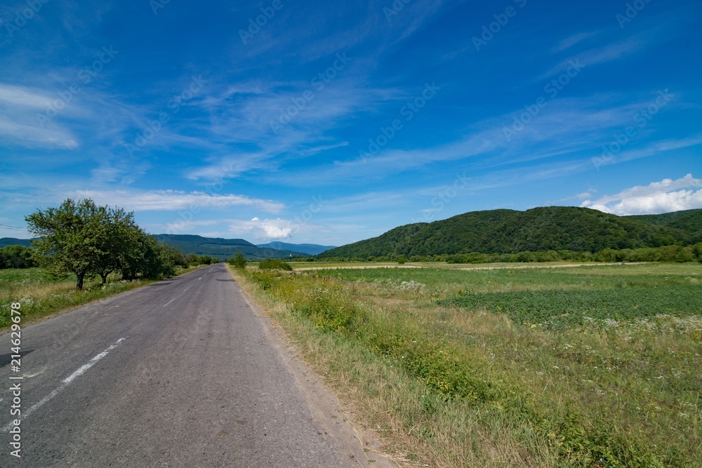 Ukrainian country road at summer