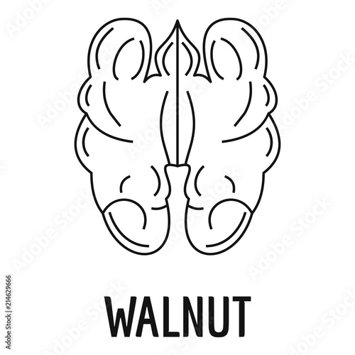Walnut icon. Outline illustration of walnut vector icon for web design isolated on white background