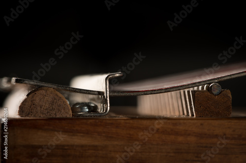 Thumb piano (Kalimba, Mbira) with silver and red tines photo