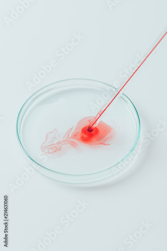 close-up shot of blood pouring from pipette into petri dish