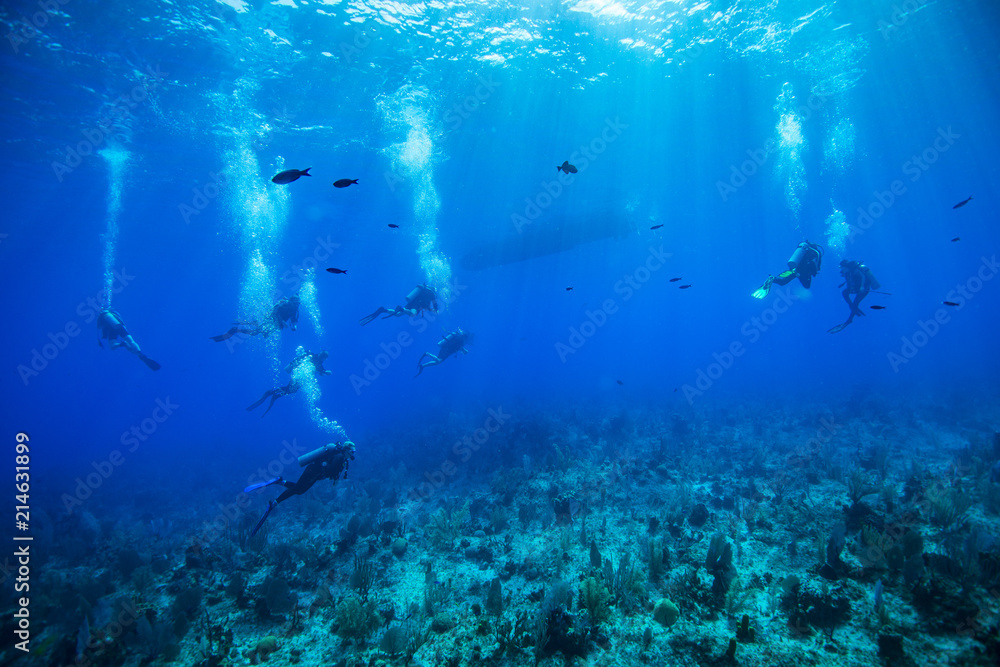 Obraz premium Divers surfacing at the end of a dive at Little Cayman