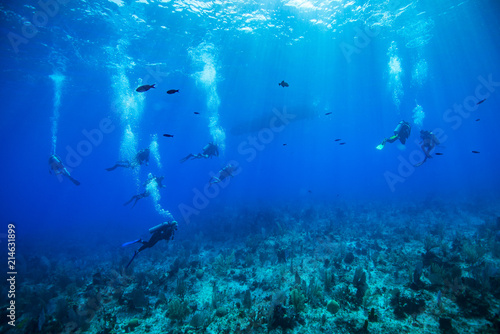 Wallpaper Mural Divers surfacing at the end of a dive at Little Cayman Torontodigital.ca