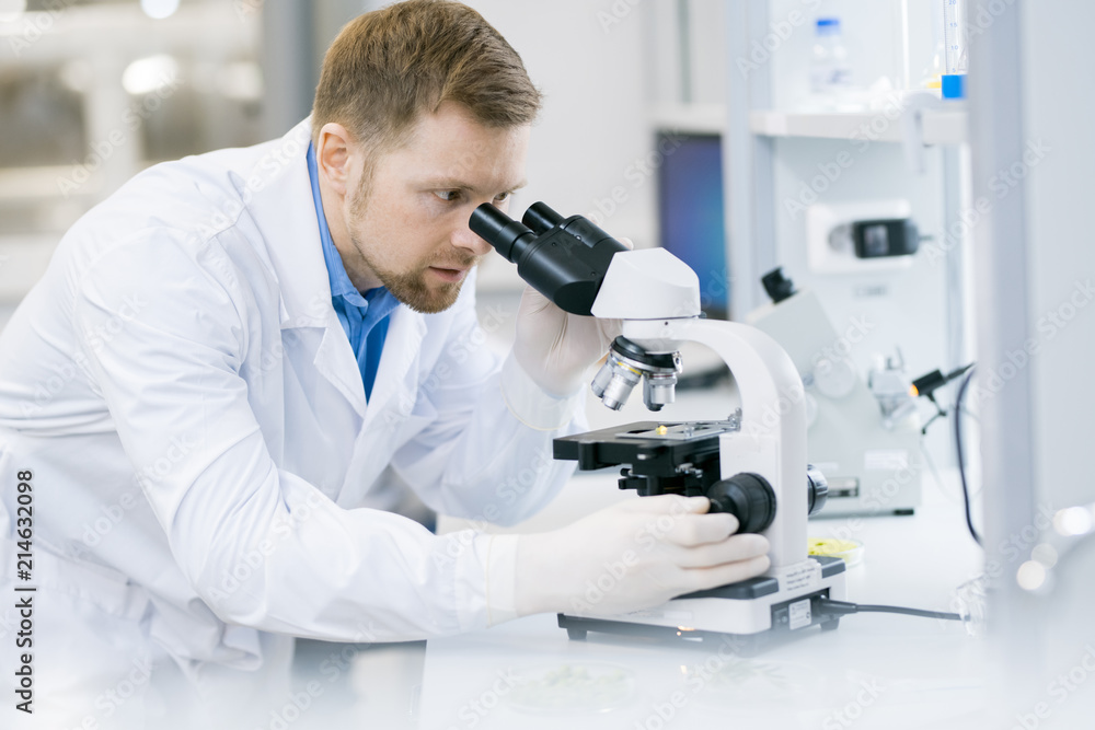 Portrait of young scientist looking in microscope while working on research in medical laboratory Portrait of young scientist looking in microscope while working on research in medical laboratory