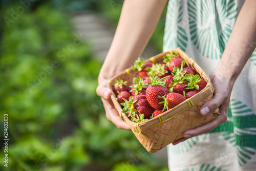 basket with strawberries in your hands