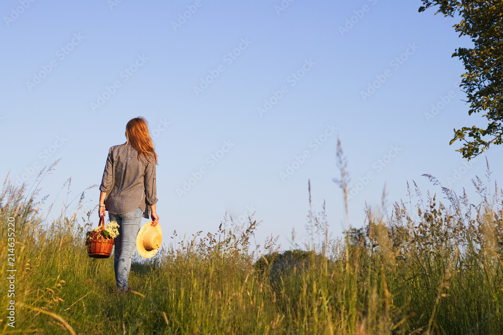 Woman with straw hat is holding wicker basket and standing in meadow. Harvesting flowers for alternative medicine. Woman with straw hat is holding wicker basket and standing in meadow. Harvesting flowers for alternative medicine.