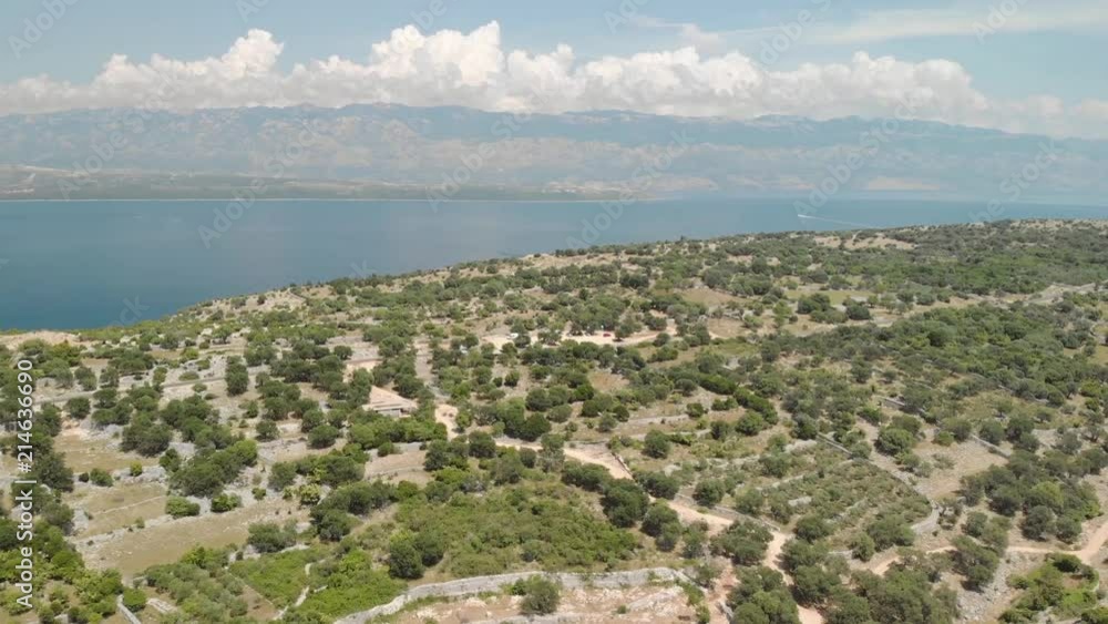 Olive trees at the Mediterranean sea coast on an island with mountains in the background, high aerial, landscape