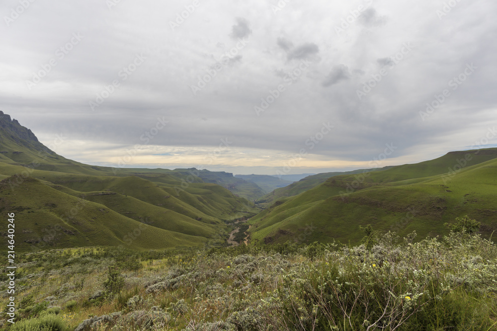Green valley in Drakensberg