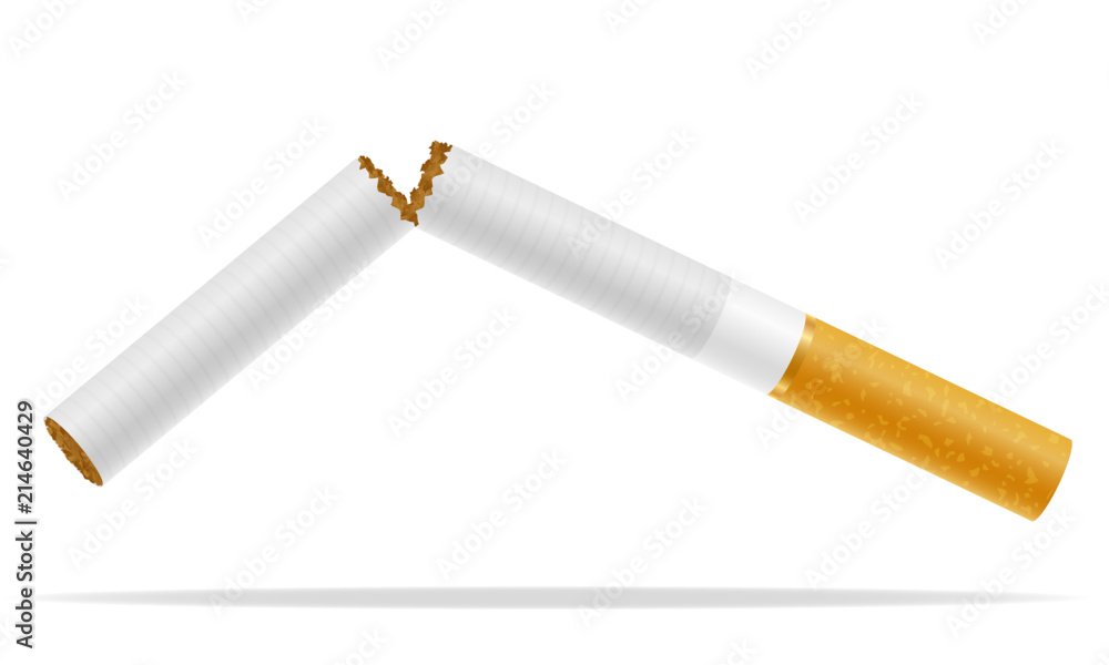 broken cigarette concept no smoke stock vector illustration broken cigarette concept no smoke stock vector illustration
