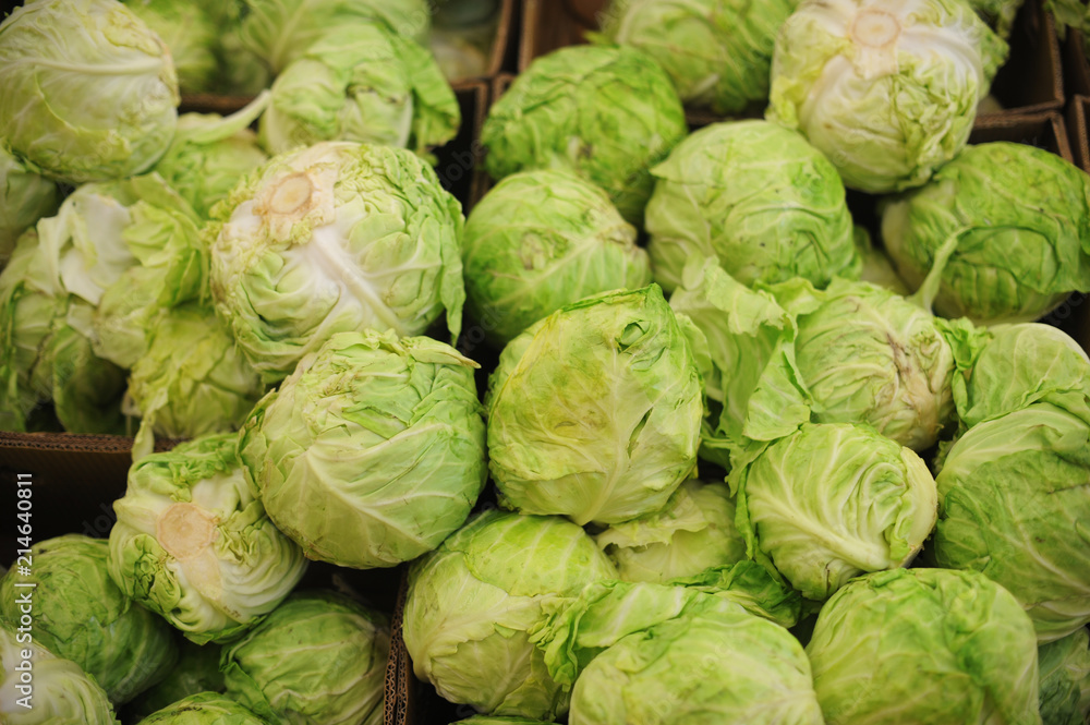 Group of green cabbages in a supermarket Group of green cabbages in a supermarket