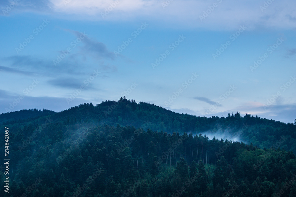 Germany, Misty black forest dawning atmosphere