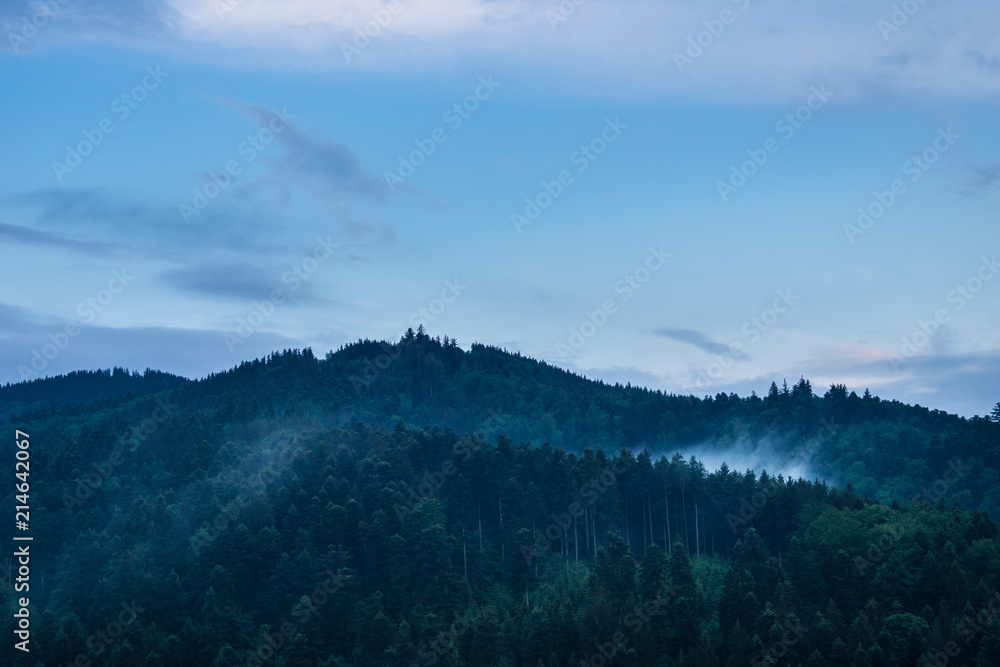 Germany, Misty black forest dawning atmosphere Germany, Misty black forest dawning atmosphere