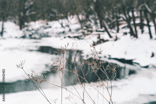 landscape on the bank of the river lama