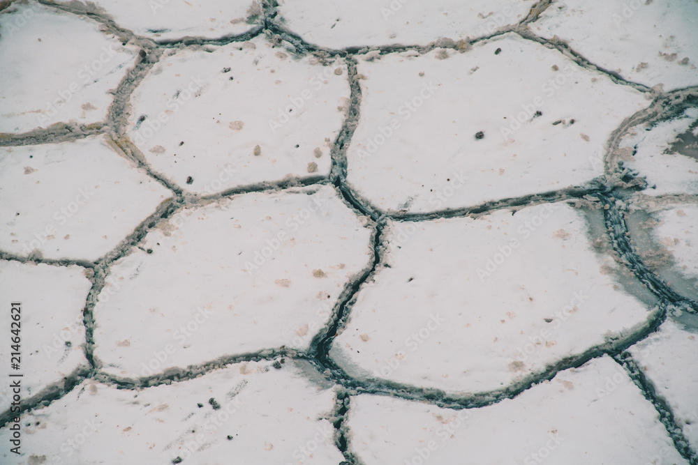 Fototapeta premium patterns of nature