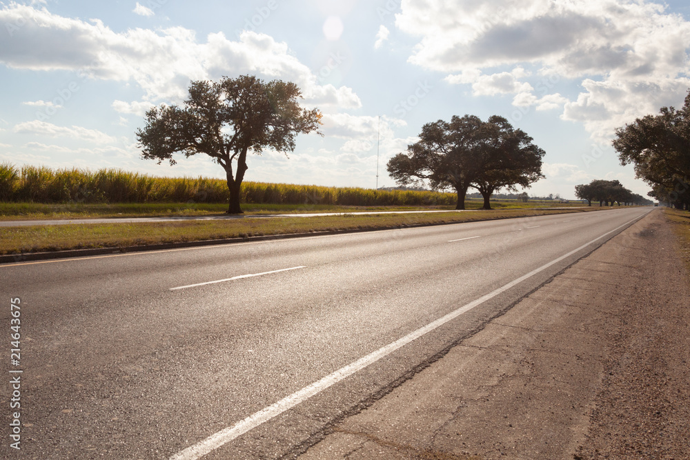 Fototapeta premium Lonesome Highway