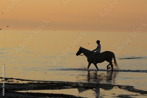 romantischer Ritt mit Pferd am Meer