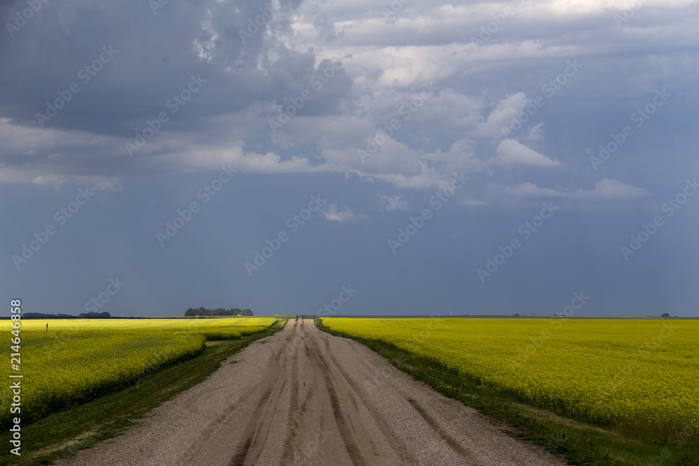 Obraz premium Prairie Storm Clouds
