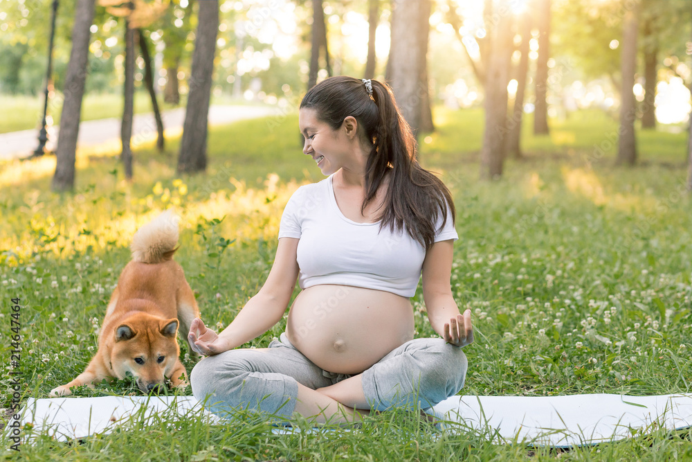 Young healthy pregnant woman with red shiba inu dog doing yoga exercises in  nature outdoors on green grass on fitness mat at sunset. Happy pregnancy  and motherhood concept Photos