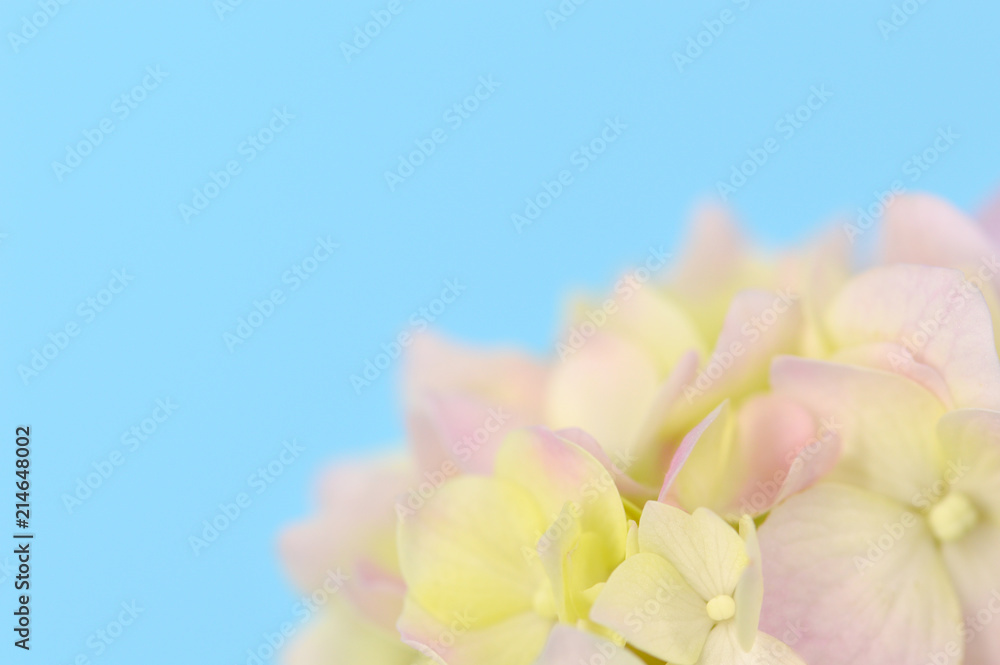 Abstract Flower Background