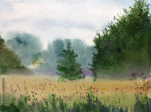 summer landscape with a house and a field