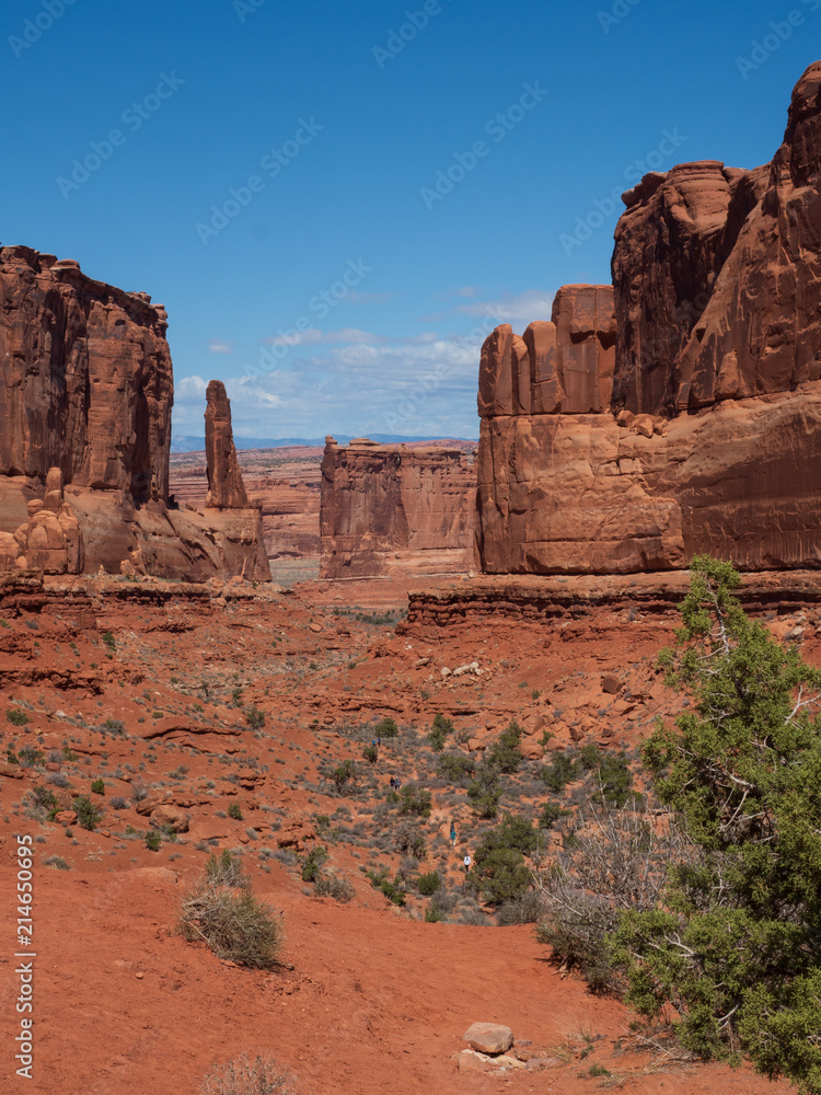 Fototapeta premium Arches