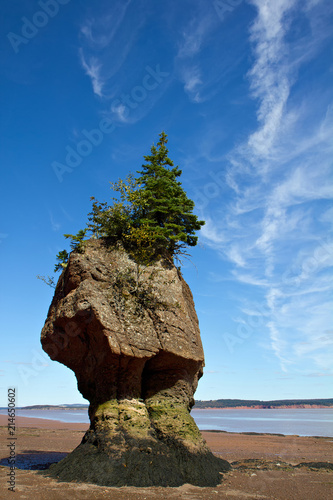 Hopewell Rocks in the Bay of Fundy, New Brunswick, Canada