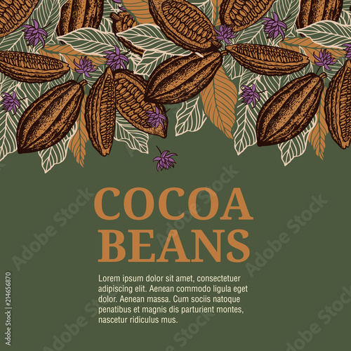 Cacao beans plant, Vector exotic cacao plants