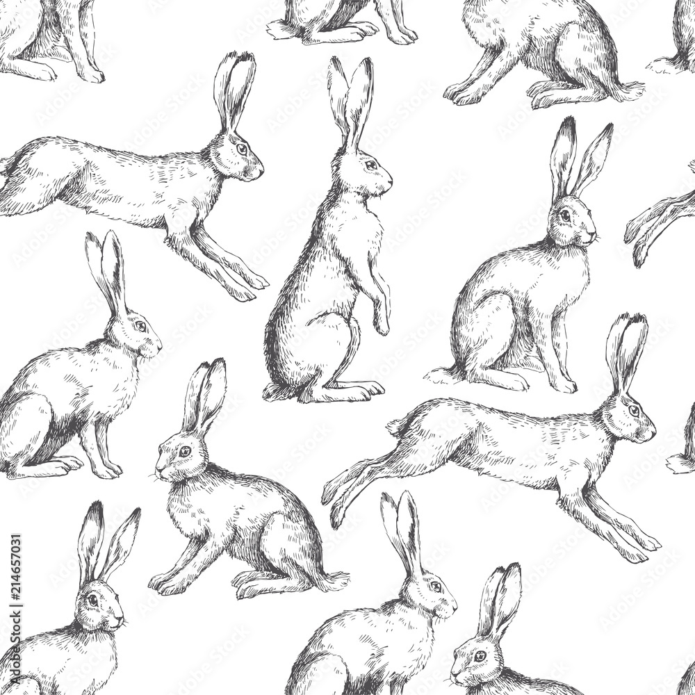 Obraz premium Wektor wzór bezszwowe z zające w różnych działaniach na białym tle. Ręcznie rysowane tekstury z królikami w stylu grawerowania. Tło z szkicem zwierząt