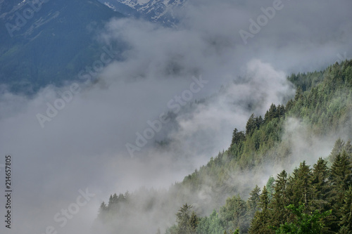 Alpenlandschaft: im Wald steigt Nebel aus dem Tal auf, im Hintergrund Hochgebirge in Österreich