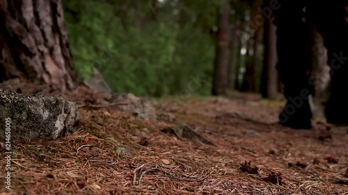 Wallpaper Mural Boots walking on a path in the forest Torontodigital.ca